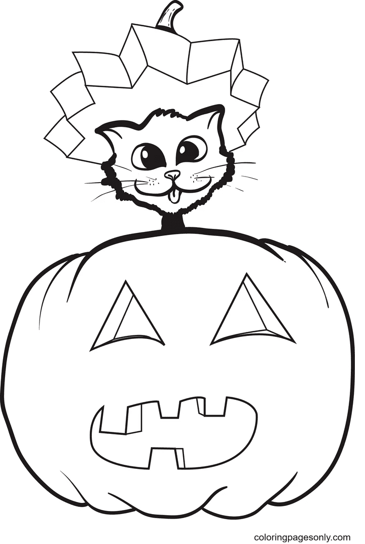 Halloween Kat en Pompoen van Halloween Katten