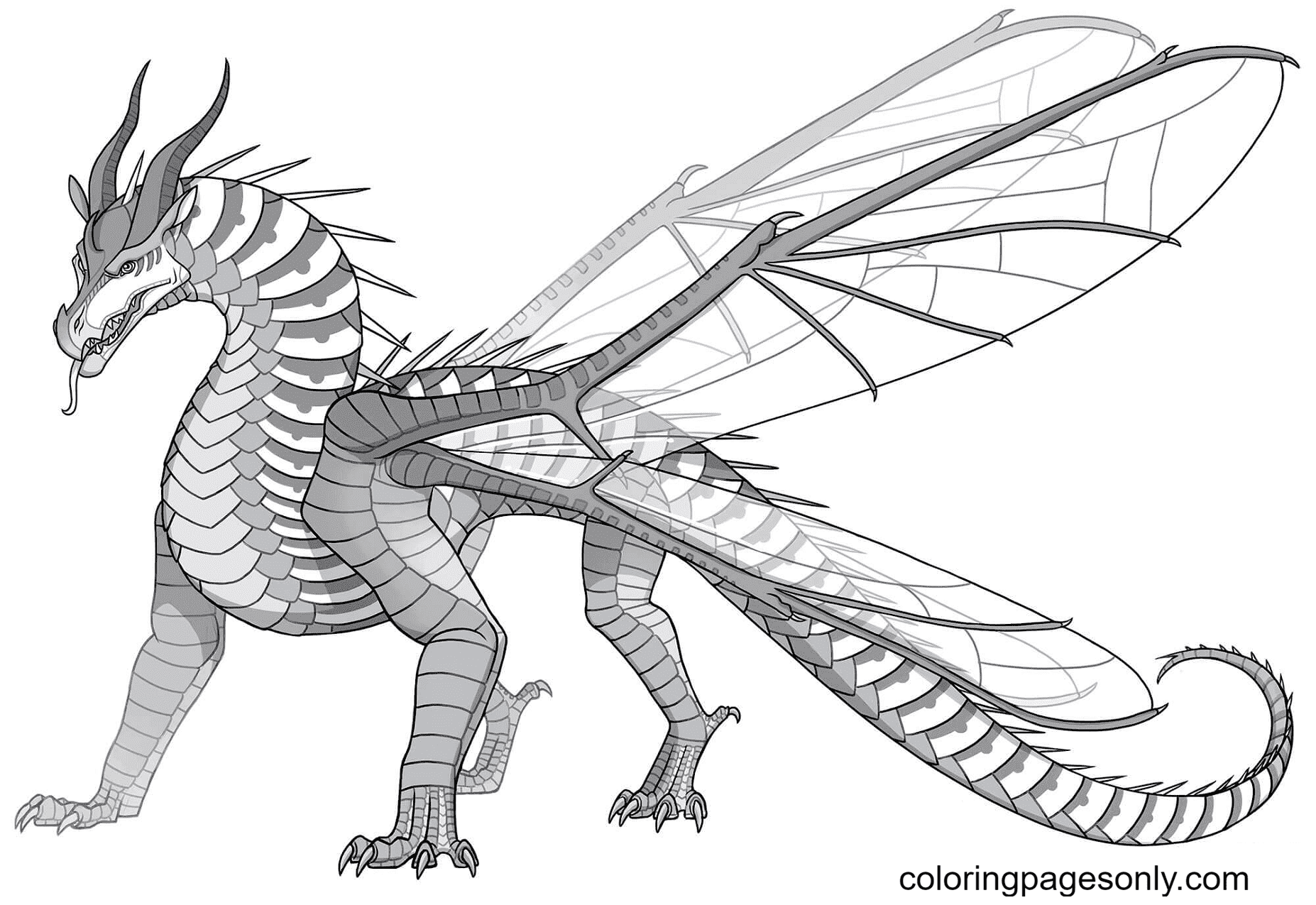 Hivewing Dragon Coloring Page