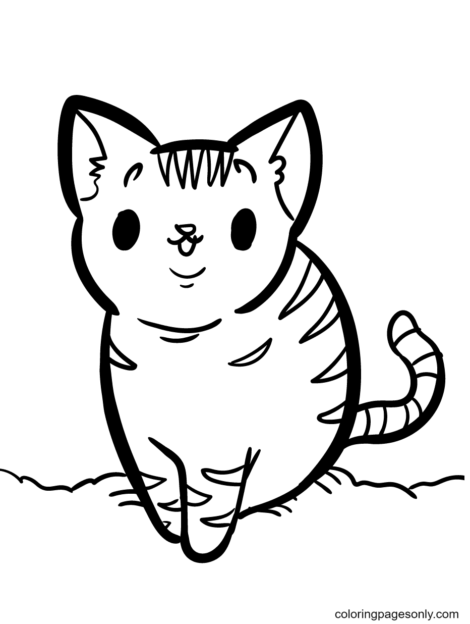 Il gattino ha strisce sulla schiena e sulla testa come una pagina da colorare di una tigre
