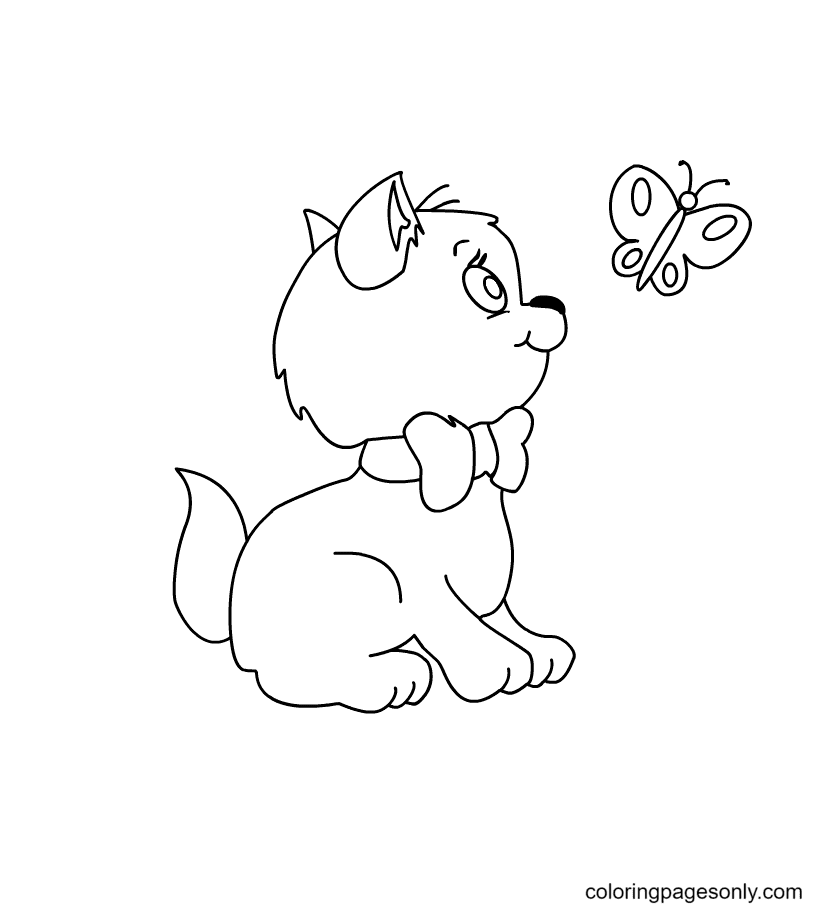 Kitten Looking At Butterfly Coloring Page