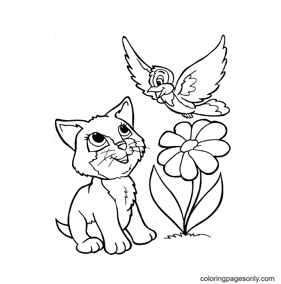 Kitten Playing With A Bird Coloring Page
