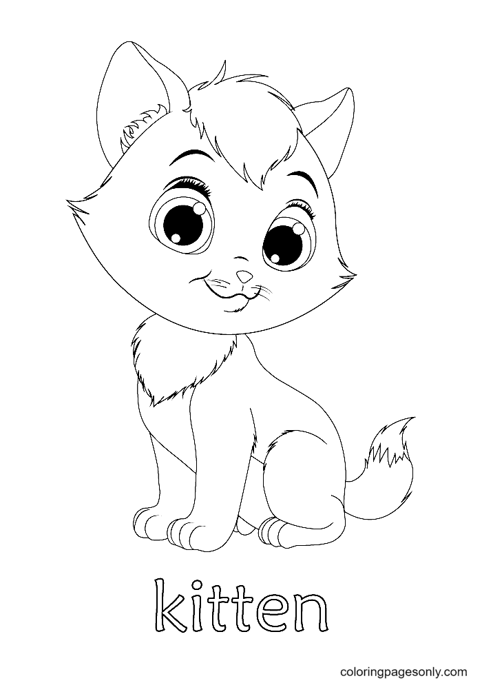 Kitten With Big Eyes Coloring Page