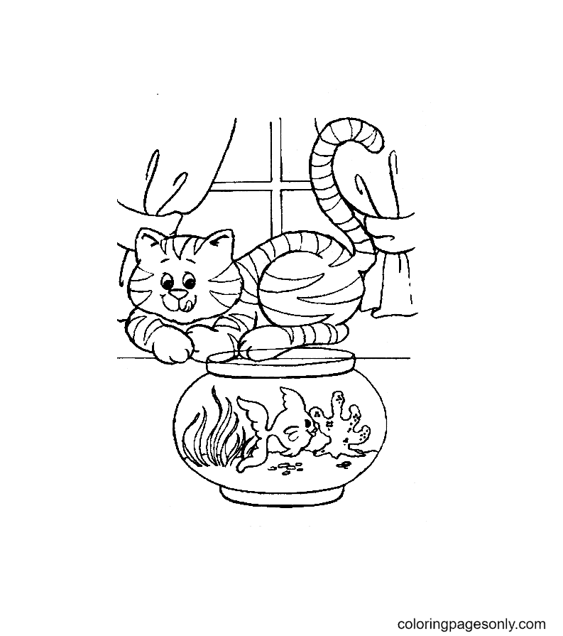 Gatito con pelaje de tigre mirando peces en el tanque de Kitten