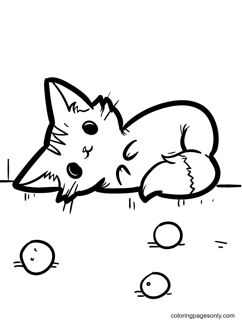 Coloriage chaton avec une queue pelucheuse recroquevillé