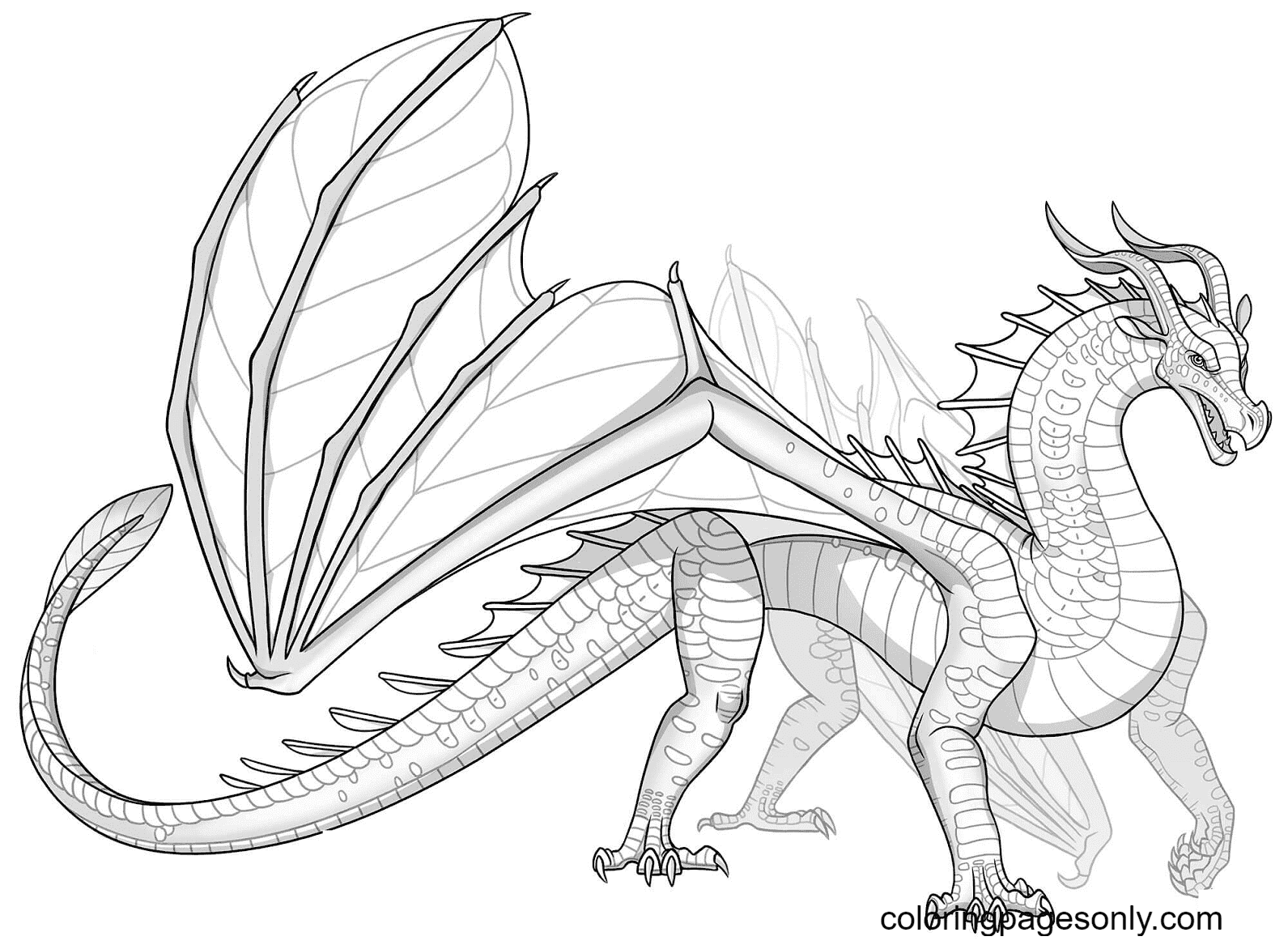 Leafwing Dragon Printable Coloring Pages Wings Of Fire Coloring Pages 
