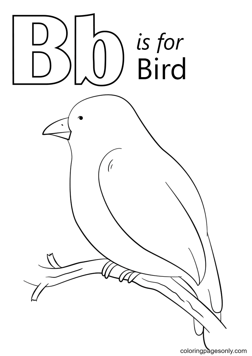 字母 B 代表字母 B 中的鸟