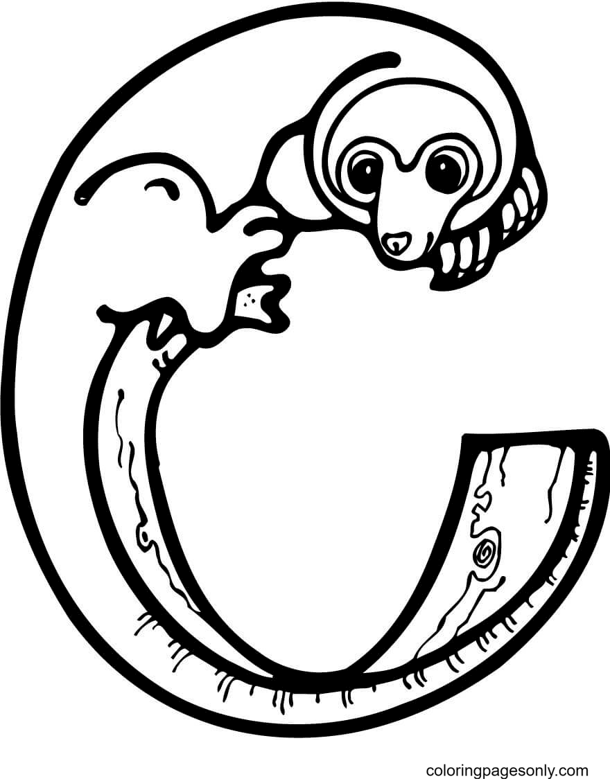 Letter C is for Cuscus Coloring Pages