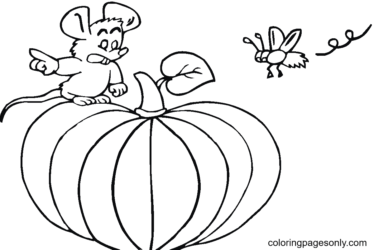 Muis staat op de Pompoen van Pumpkin