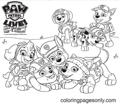 Paw Patrol Pages - Coloring Pages For Kids Adults