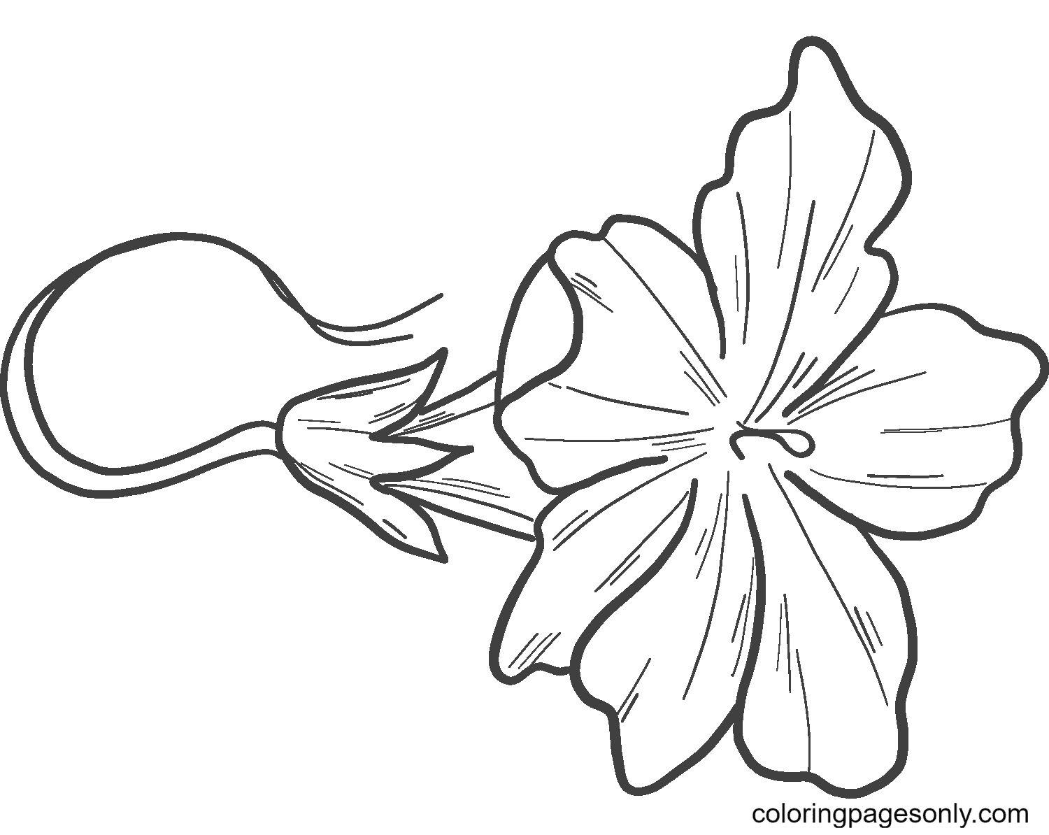 Тыквенный цветок из тыквы