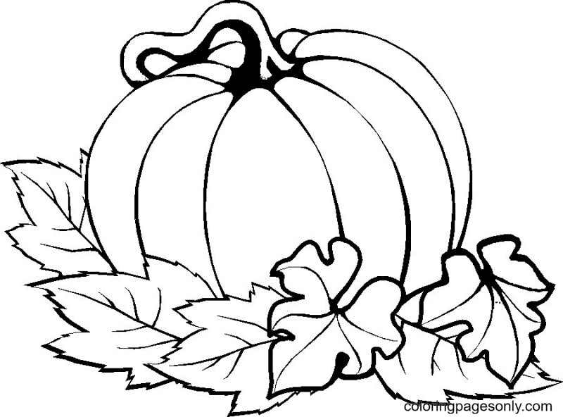 Pumpkin Leaves Coloring Page