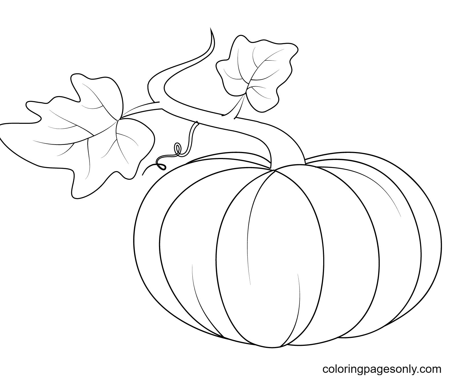 Раскраска Тыква с двумя листьями