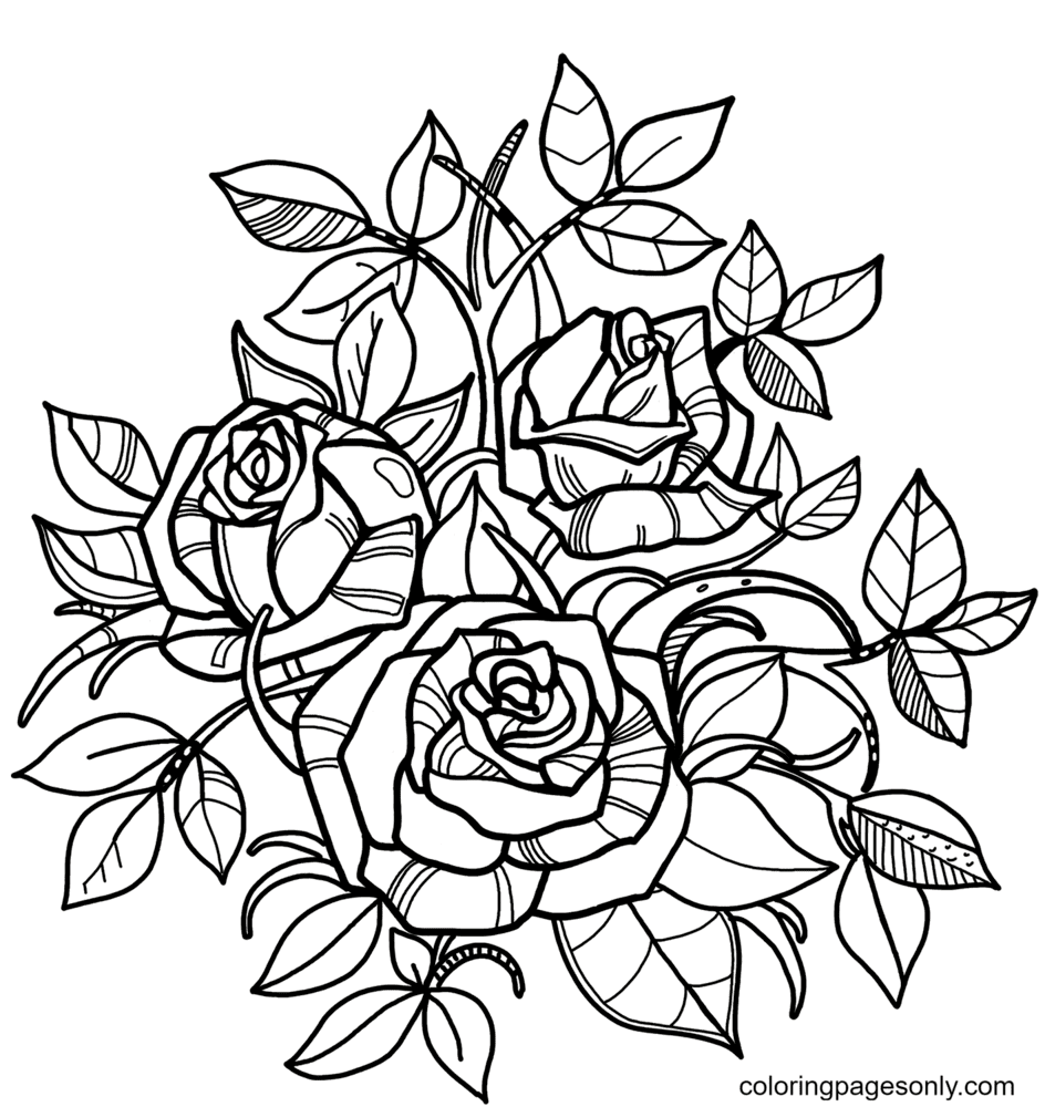 Roses with Leaves Coloring Pages