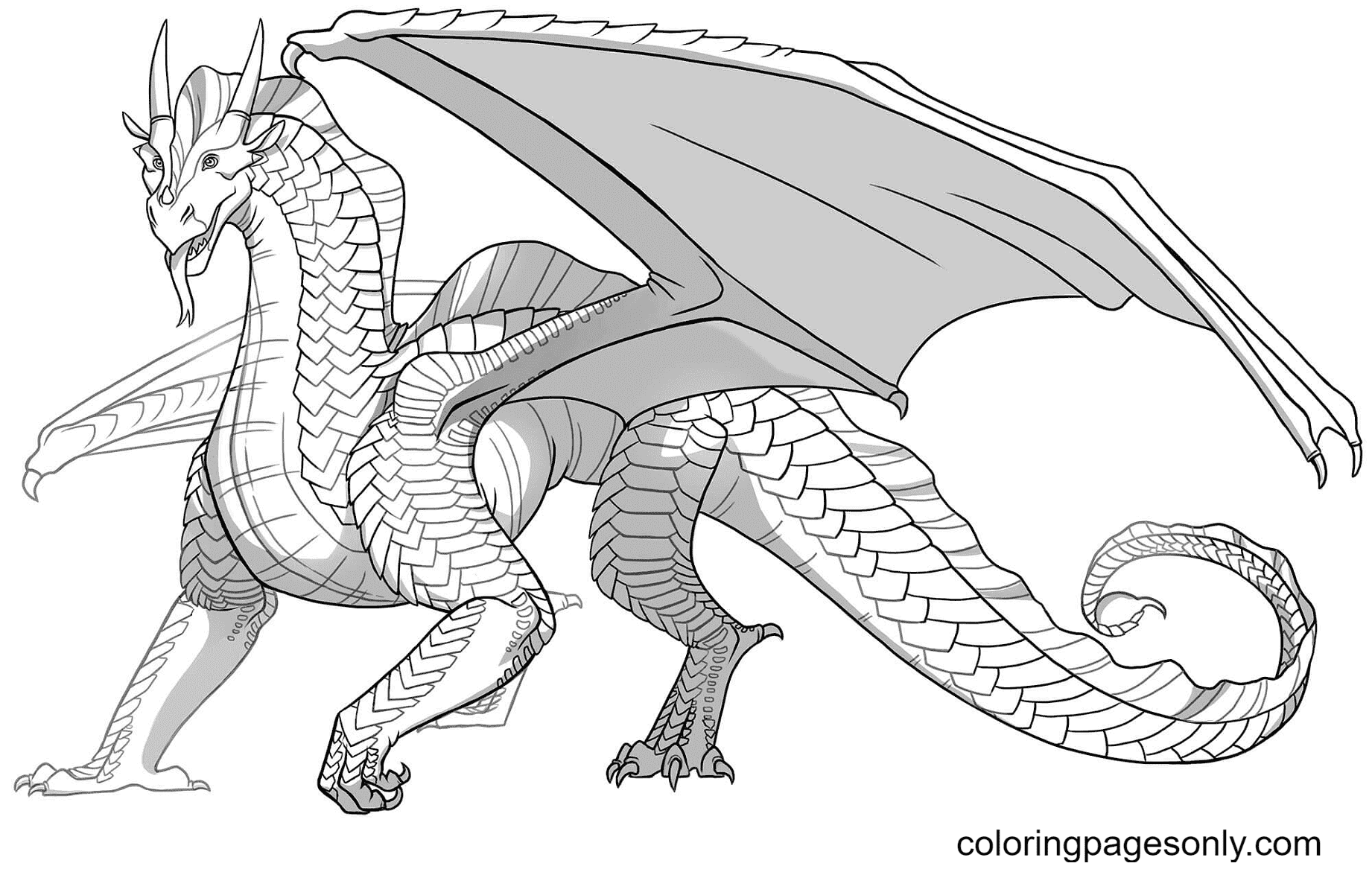 Dragon Sandwing imprimable à partir de Wings Of Fire