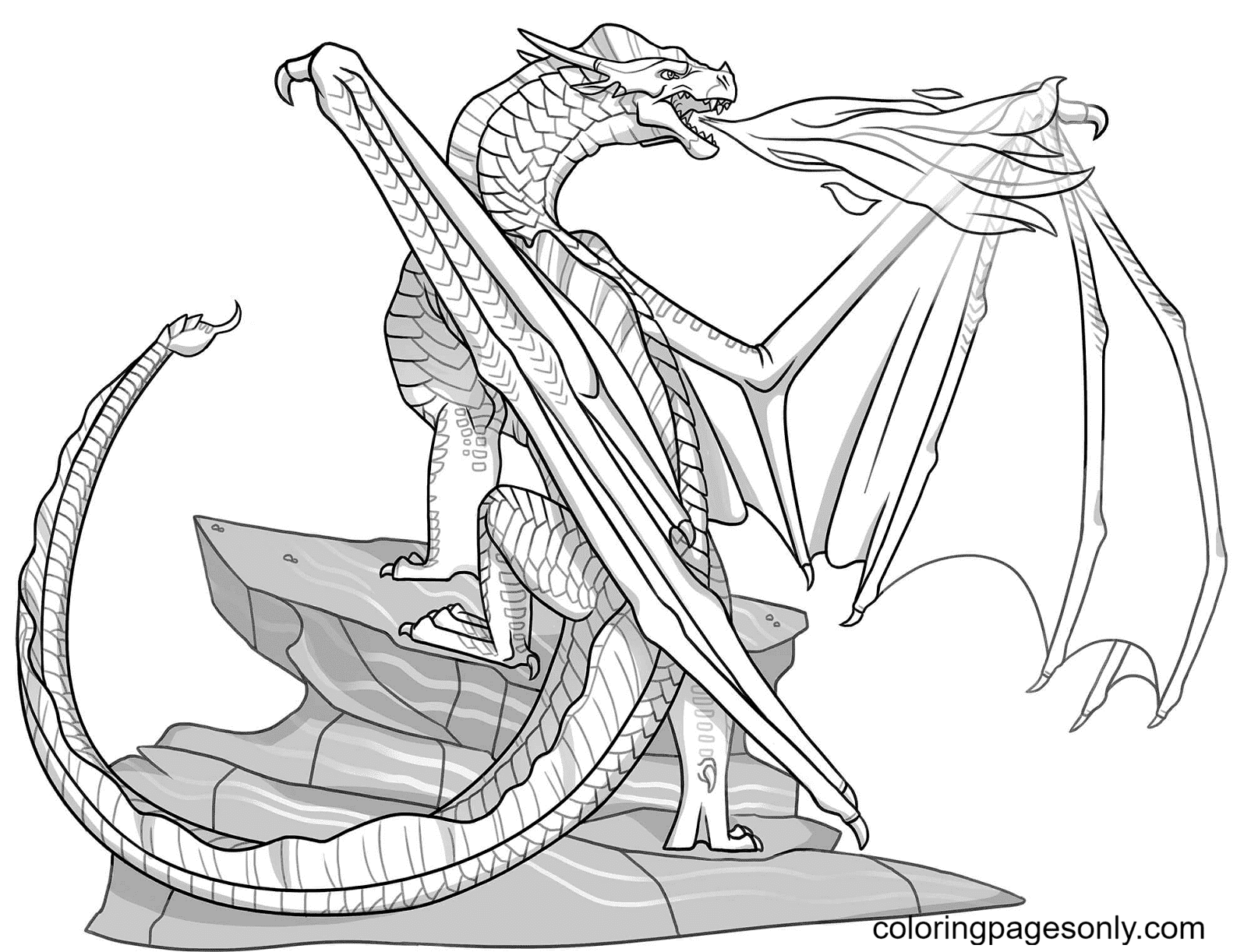 Sandwing Dragon Coloring Pages