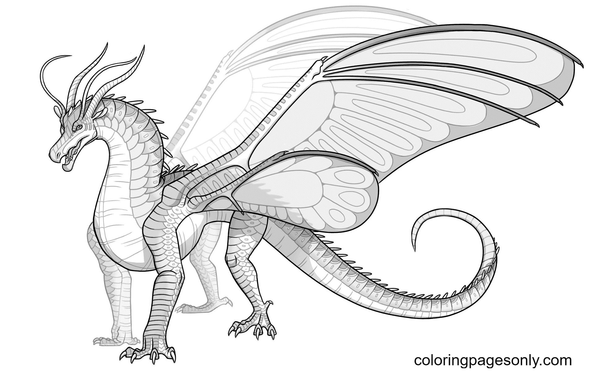 Silkwing Dragon from Wings of Fire Coloring Page - Free Printable