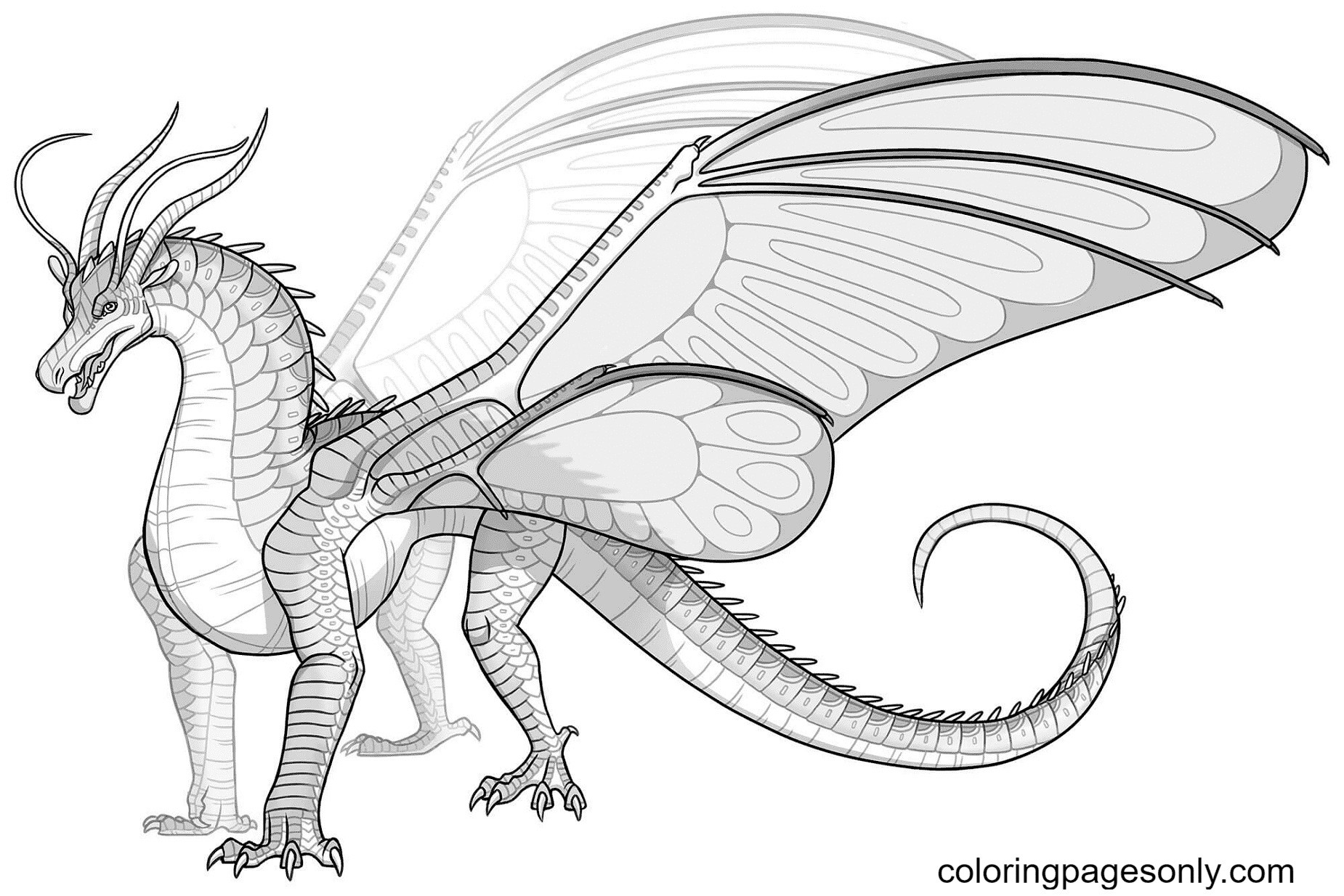 Silkwing Dragon Coloring Pages
