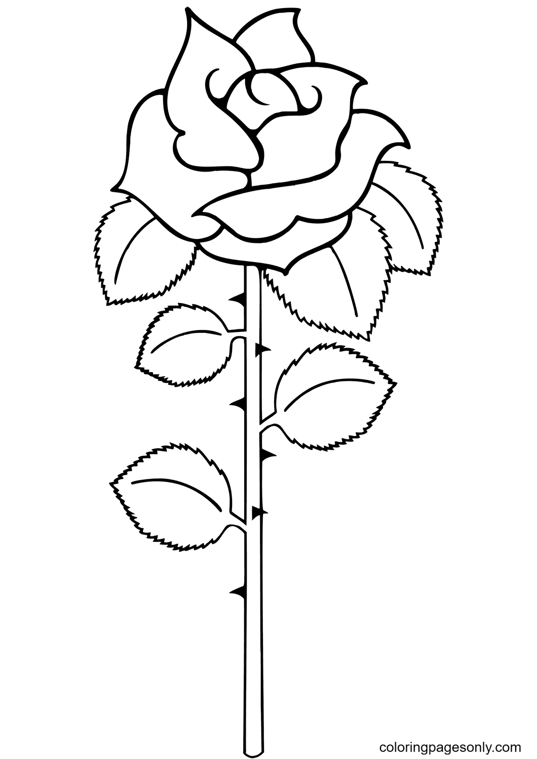 Simple Rose with Leaves Coloring Page