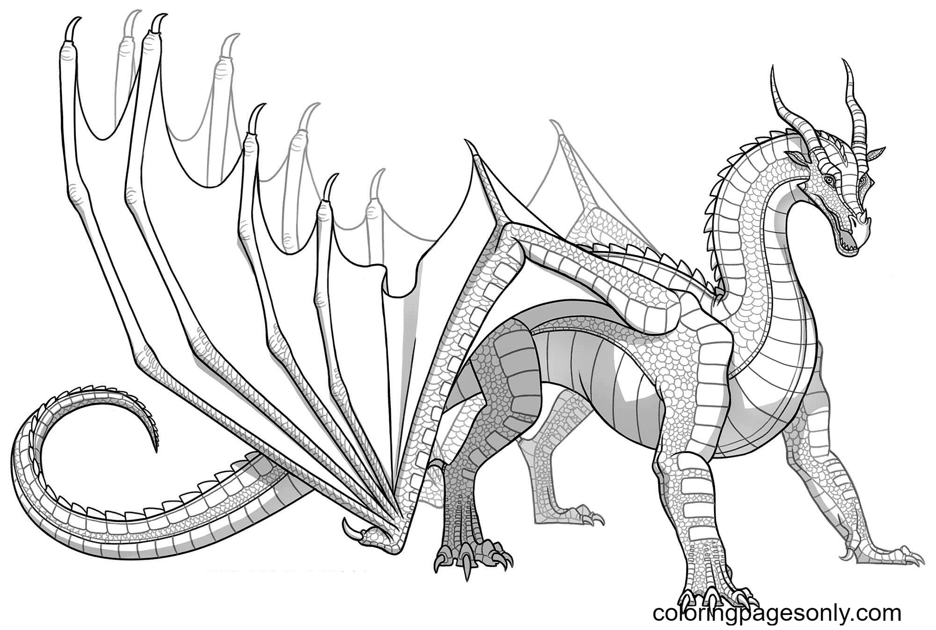 Skywing Dragon Printable Coloring Pages Wings Of Fire Coloring Pages 