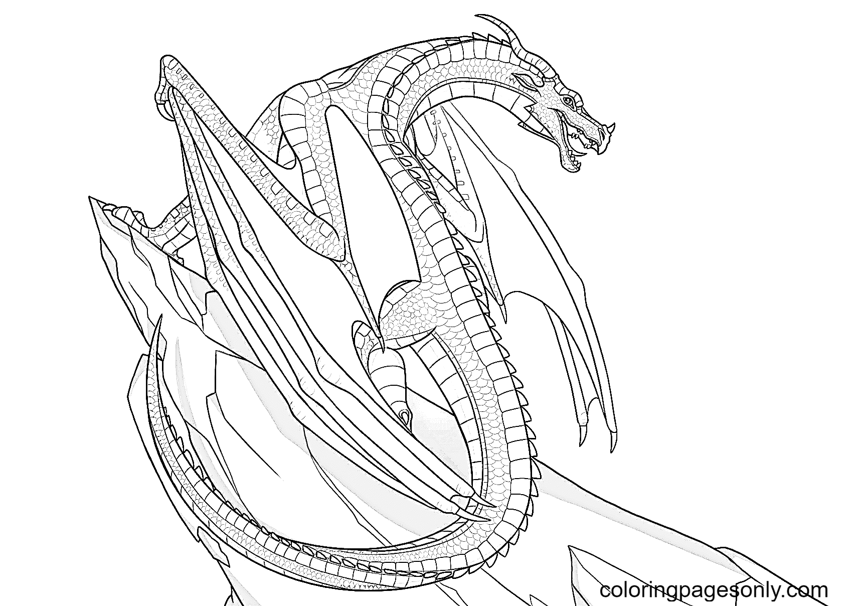 Skywing Dragon Coloring Page