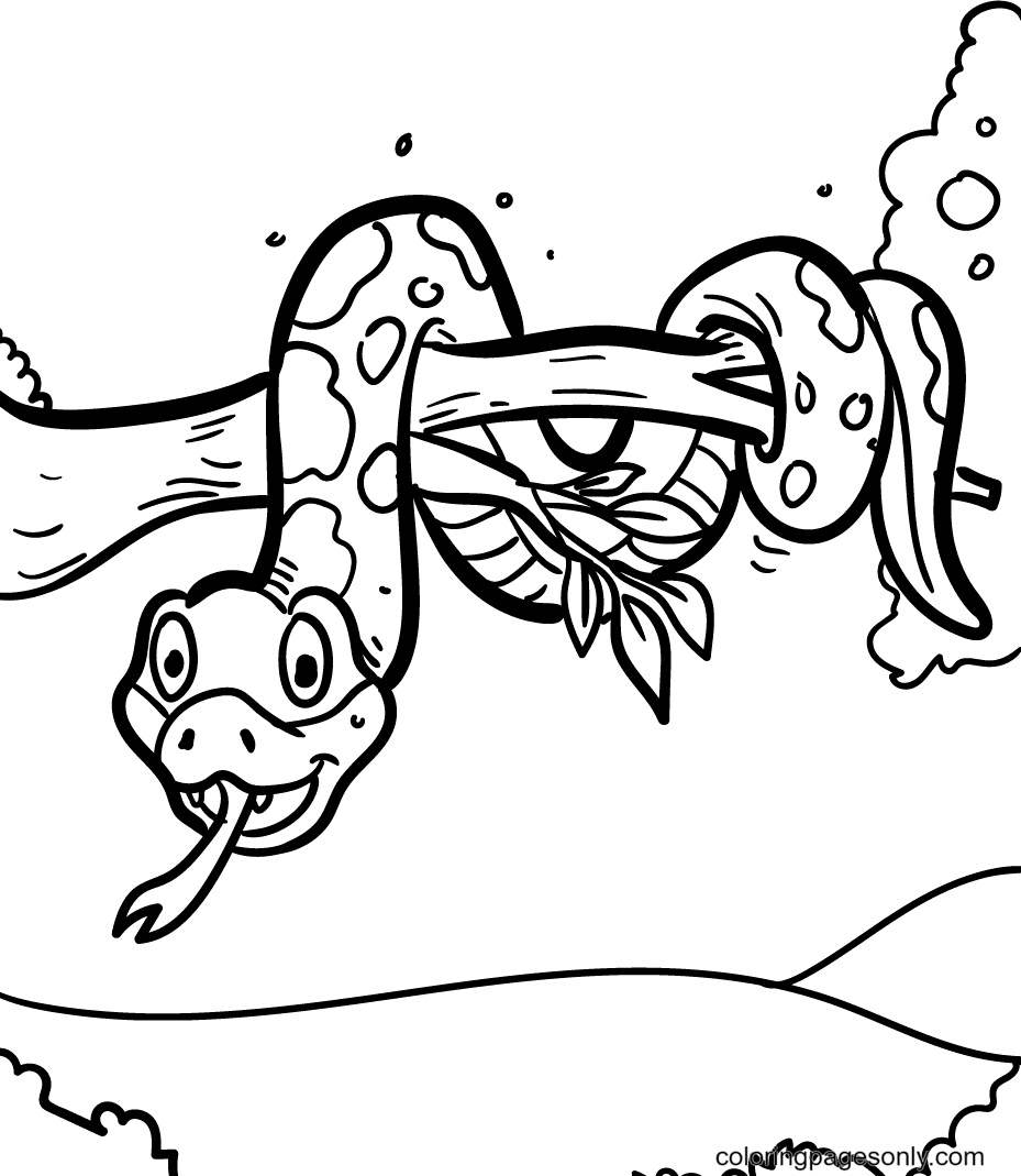 Snake on a Tree Branch Coloring Page