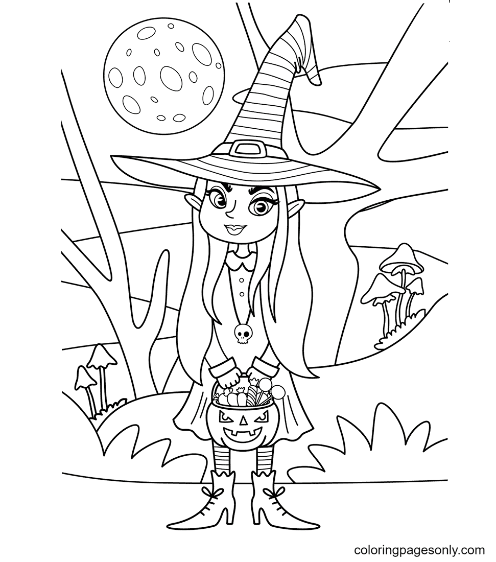 A Bruxinha e a Lâmpada de Abóbora de Halloween Witch