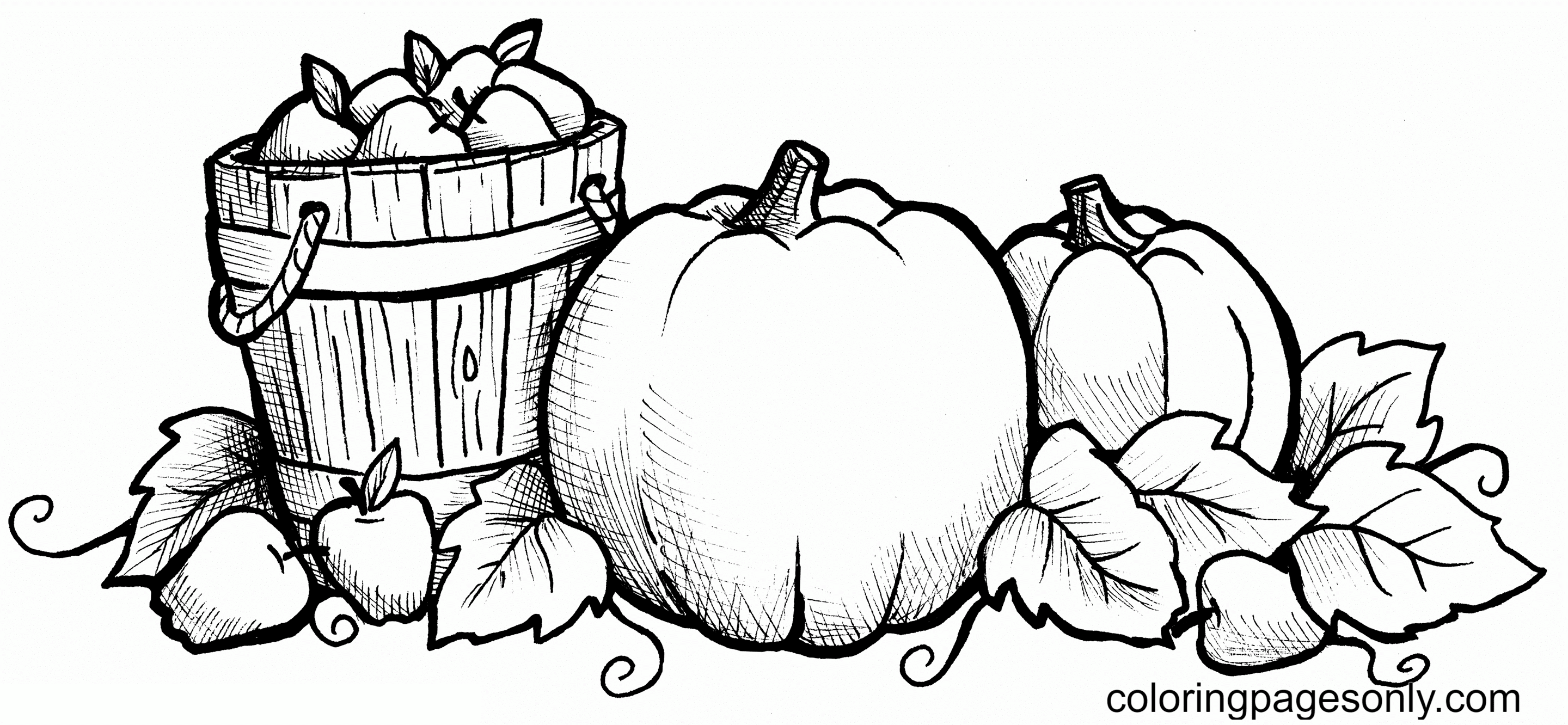 Duas abóboras com balde de abóbora from Pumpkin