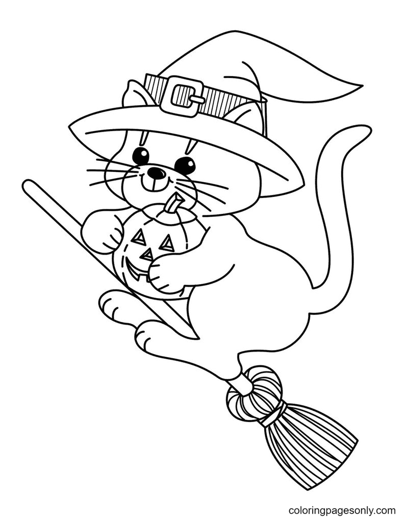 Witch Cat and Pumpkin Coloring Pages