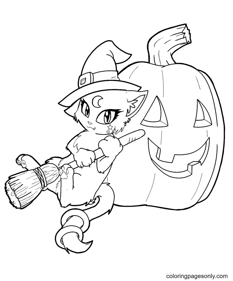 Witch Cat with Pumpkin Coloring Page