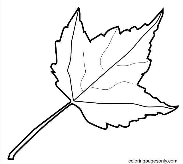 A Autumn Leaf Coloring Page
