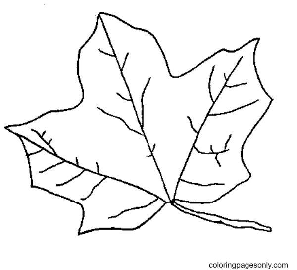 Una pagina da colorare di foglie autunnali