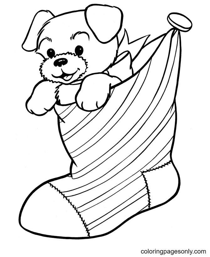A Puppy Dog In A Christmas Stocking Coloring Page