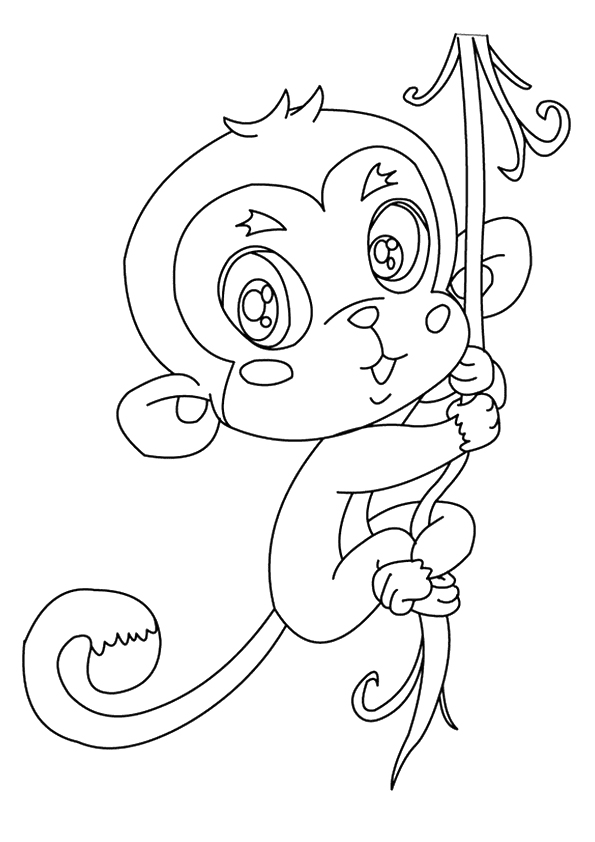 Un mono ardilla de Monkey
