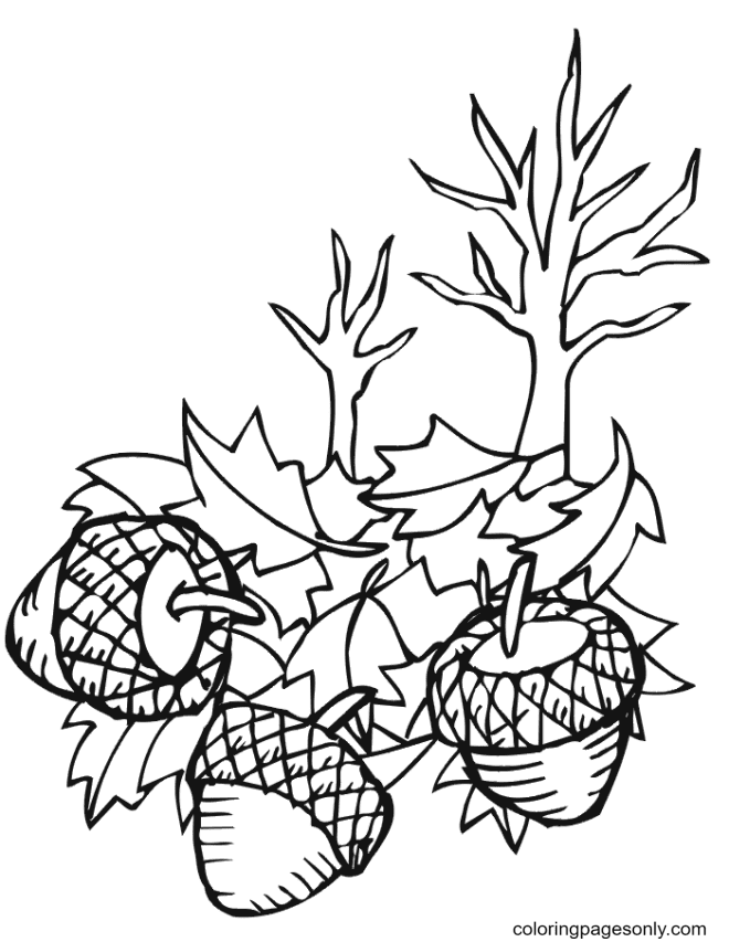 Acorns and Fall Leaves Coloring Page