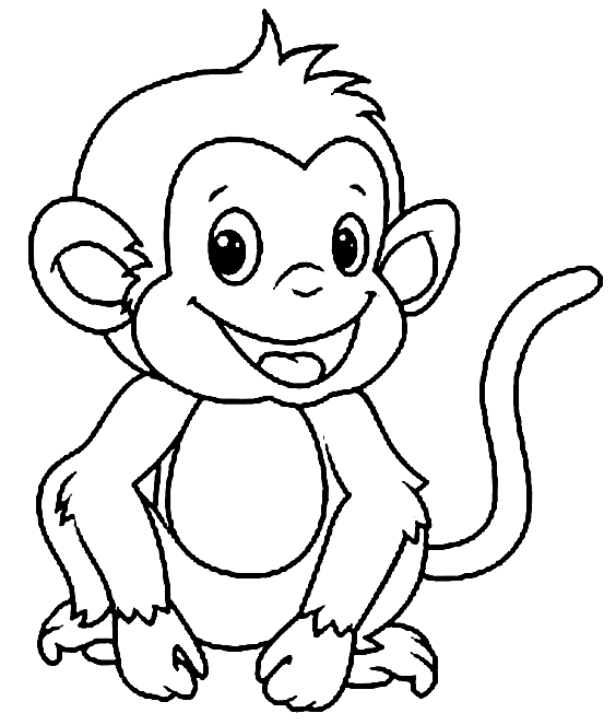 Adorabile Scimmia da Scimmia