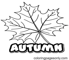 Раскраски Осенние листья