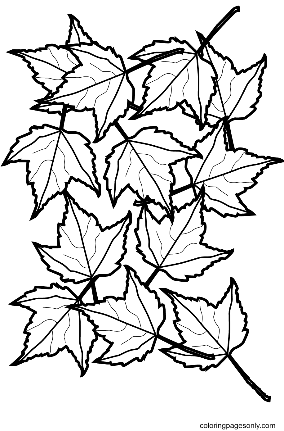 Autumn Maple Leaves Coloring Page