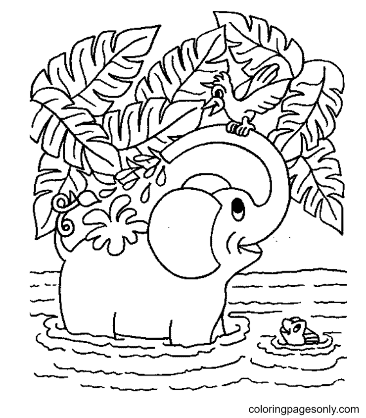 Baby Elephant Playing Water with Friends Coloring Pages