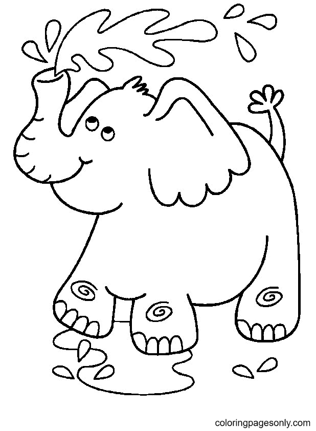 Слоненок играет с водой, полученной от слона