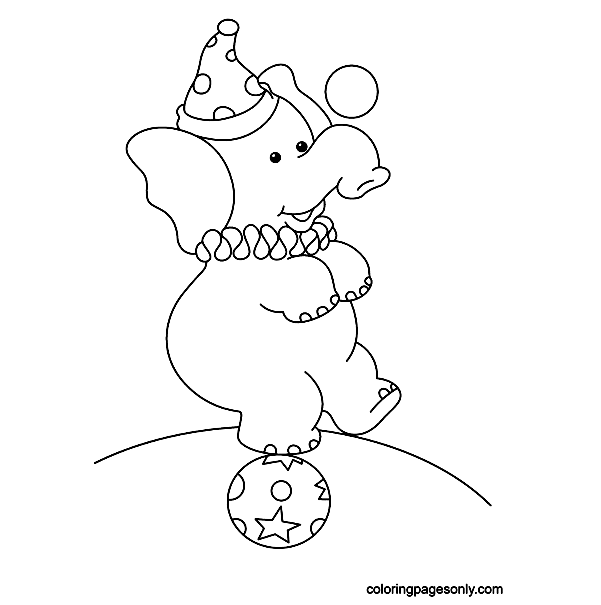 Baby Elephant Standing on the Ball Coloring Pages
