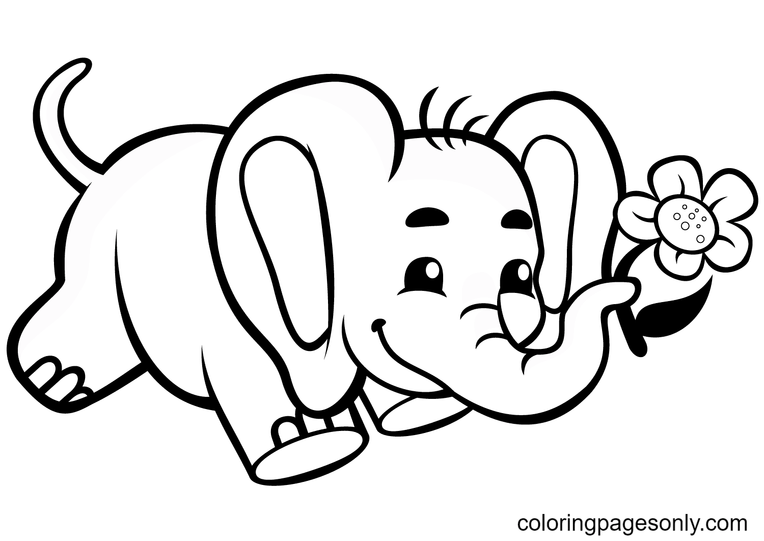 Baby Elephant Use Its Nose Holds a Flower Coloring Page