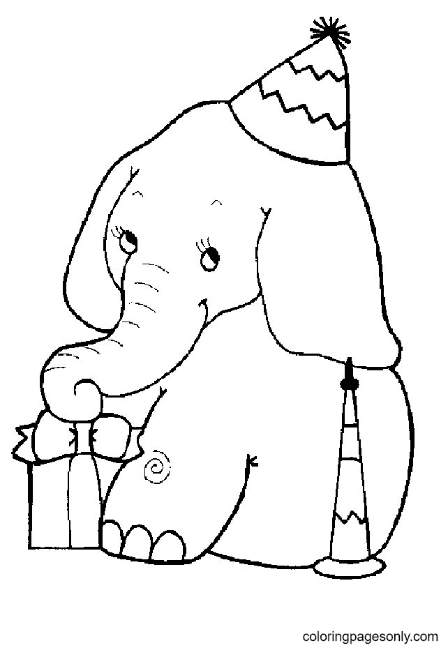 Cumpleaños del bebé elefante de Elephant