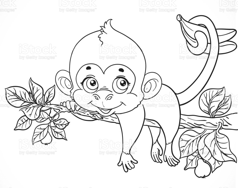 Baby Monkey on Tree Coloring Page