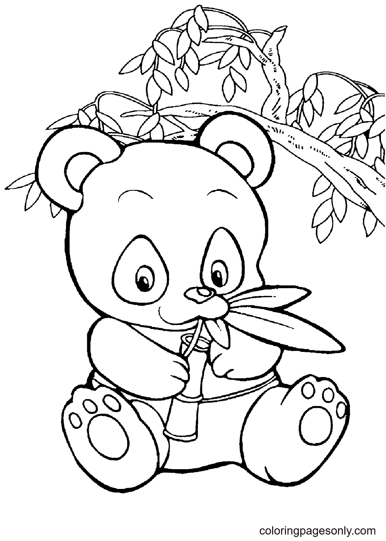Baby Panda is Eating Bamboo Coloring Page