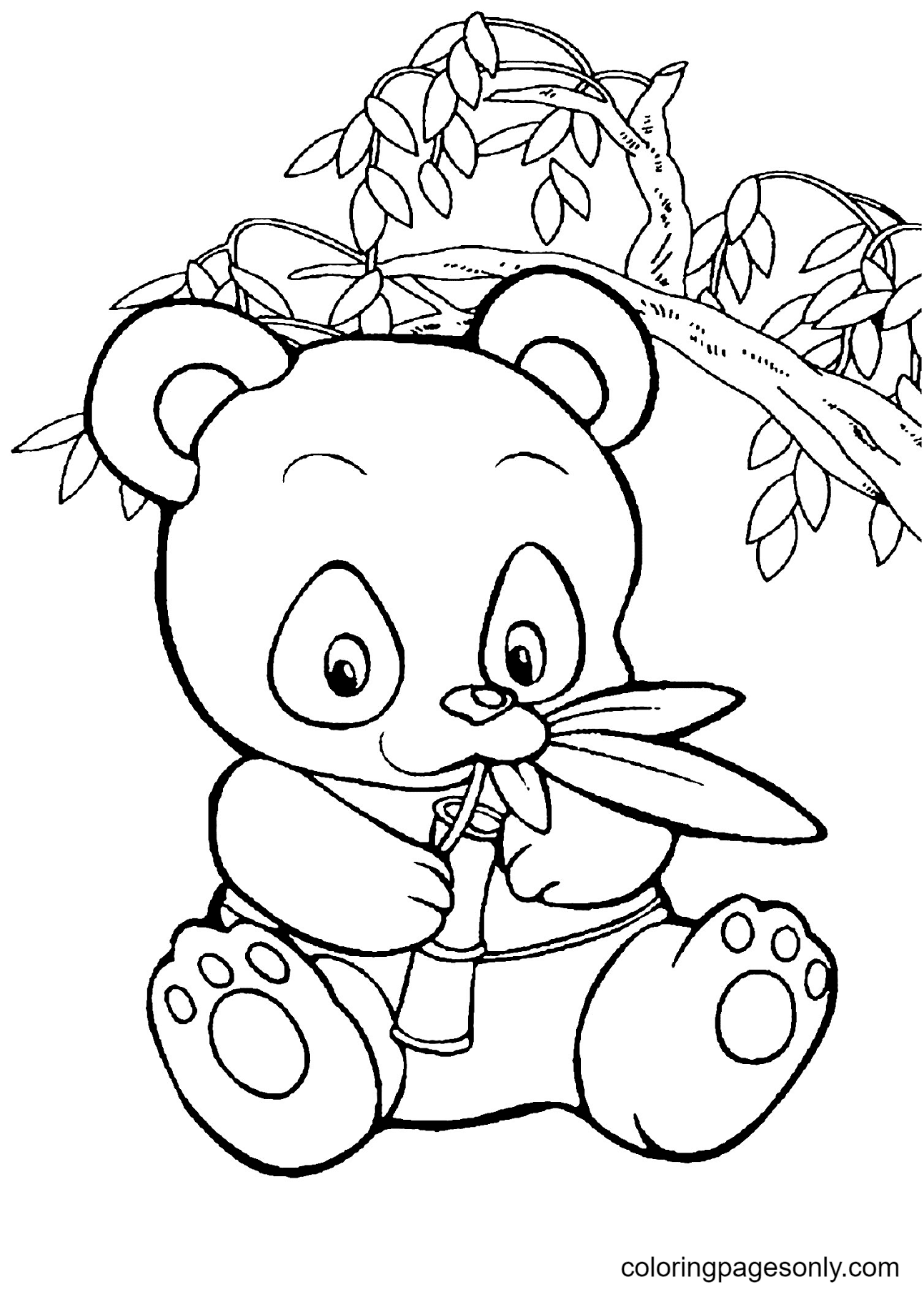 Desenho e Imagem Panda Bonitinho para Colorir e Imprimir Grátis