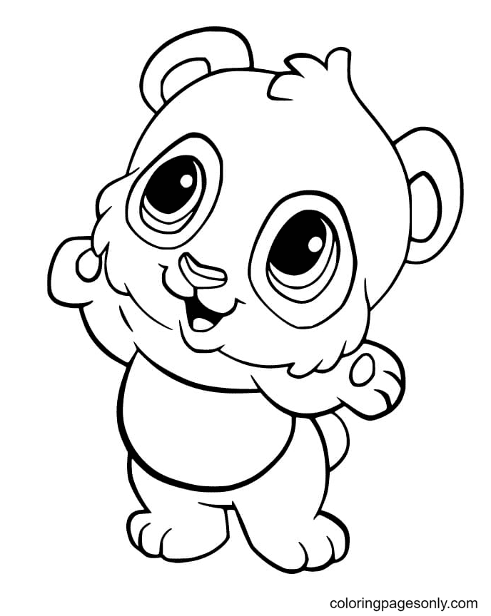 طفل الباندا من الباندا