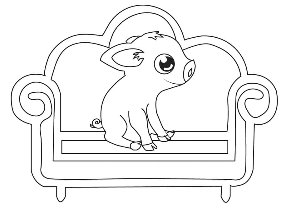 Babyschwein auf einer Couch von Pig