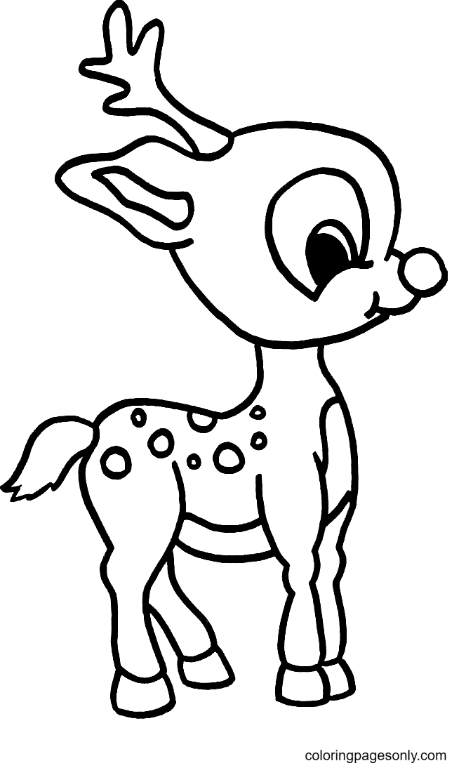 Baby Reindeer Coloring Page