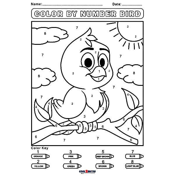 Bird Color by Number Coloring Pages