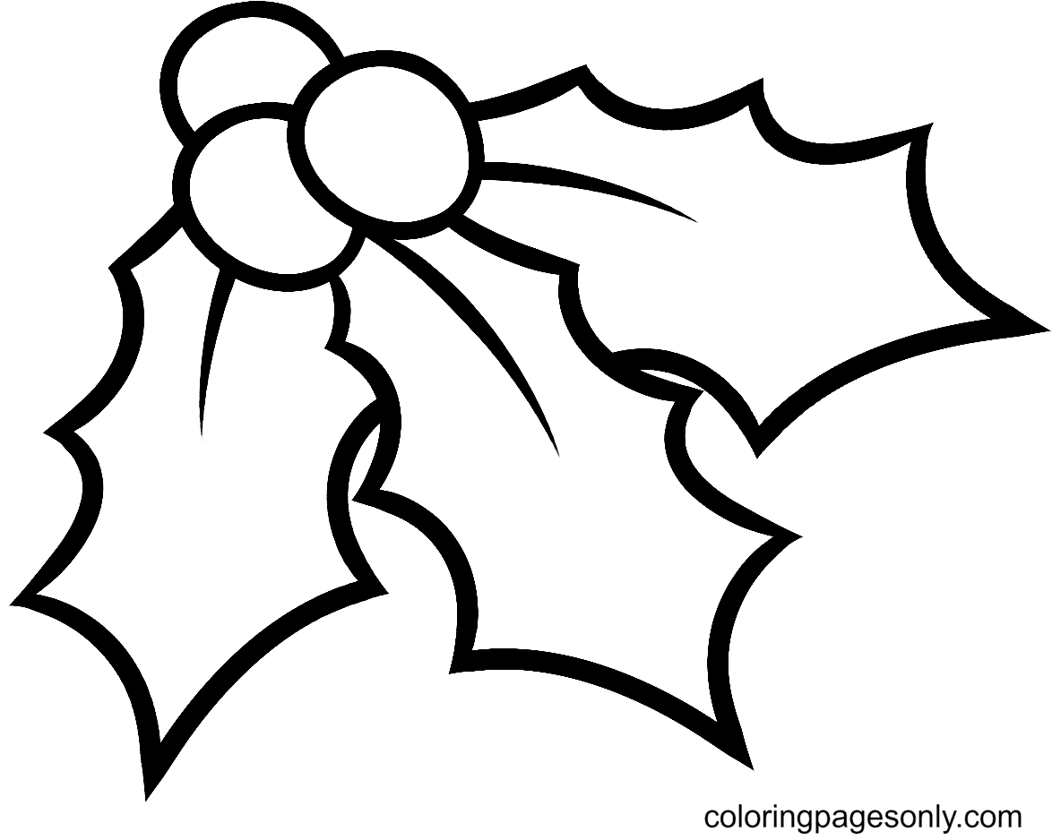 christmas-holly-free-printable-coloring-pages-christmas-holly